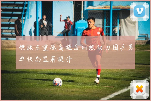 樊振东重返高强度训练助力国乒男单状态显著提升